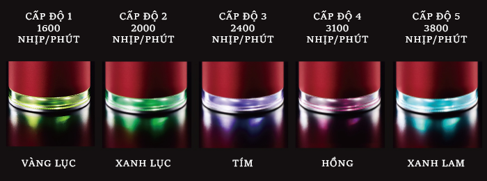 Máy massage cầm tay Muscle Shot Premium FG3800P